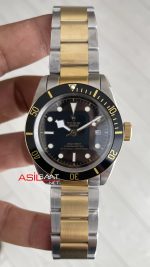 Tudor Black Bay S&G M79733N