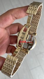 Versace Greca Meander Siyah 34mm Gold Kadın Saati